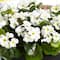 13" UV Resistant Artificial Geranium in Rectangular Planter (Indoor/Outdoor)